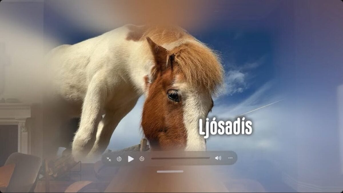 isionOS 26発表！2D写真が立体化、PS VR2コントローラーにも対応